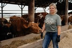 Armstrong with cattle 
