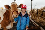 Young boy with cow