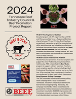 Annual Report 